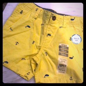 Shorts Bundle